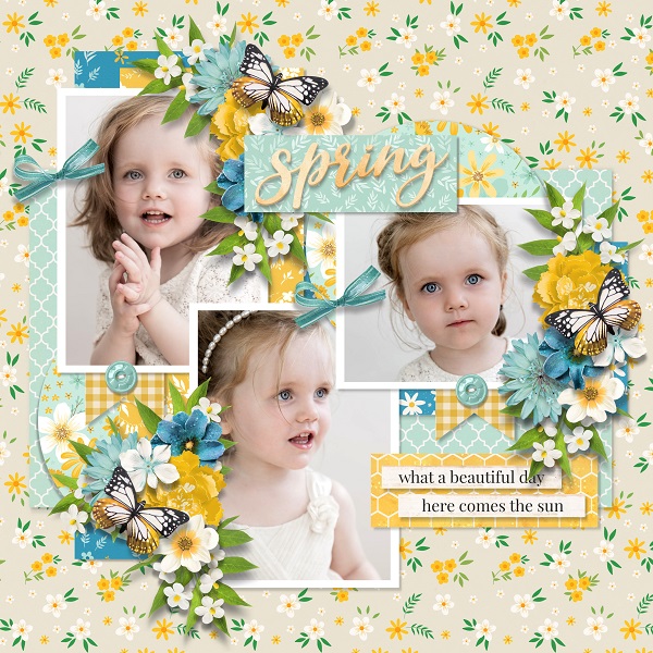 A pocketful of daisies