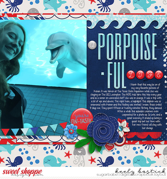 A Porpoise-ful Life