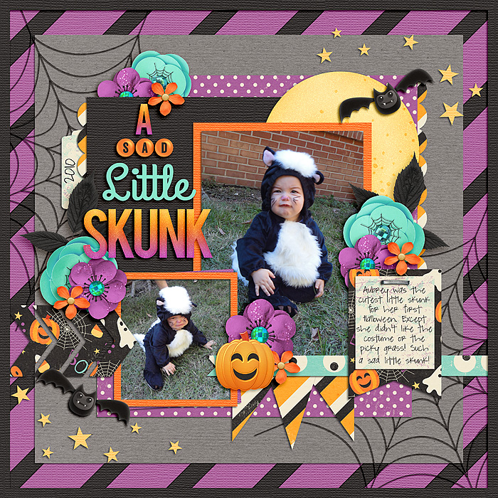 A Sad Little Skunk