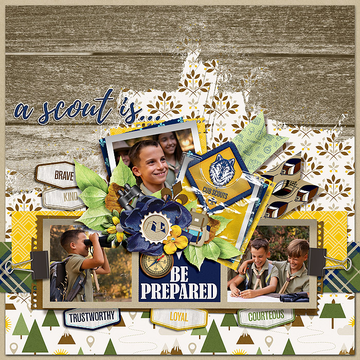 A Scout is..