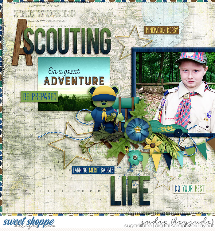 A Scouting Life