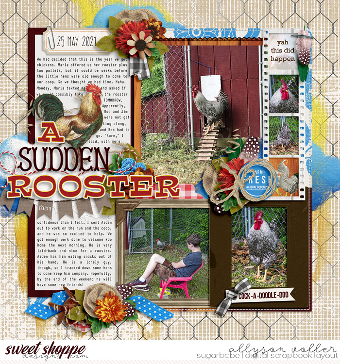 A Sudden Rooster