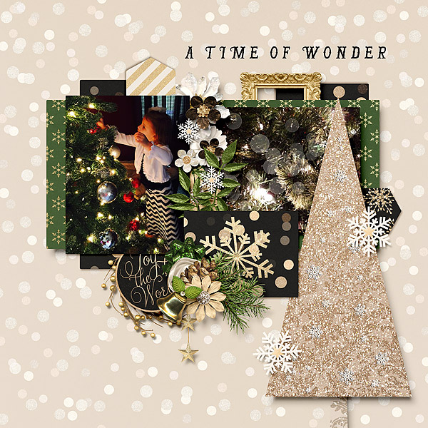 A Time of Wonder