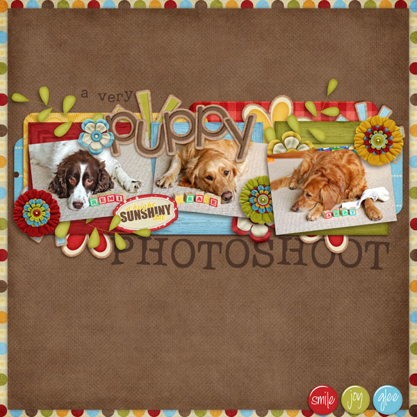 a very puppy photoshoot
