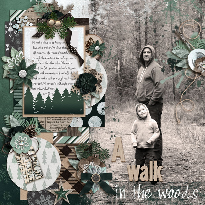 A walk in the woods