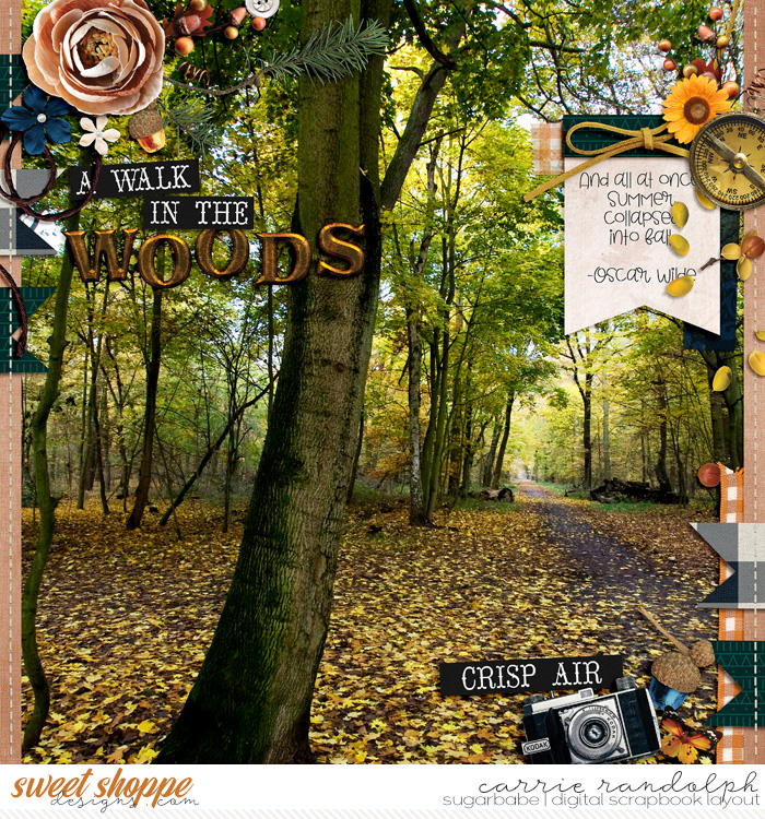 A Walk in the Woods