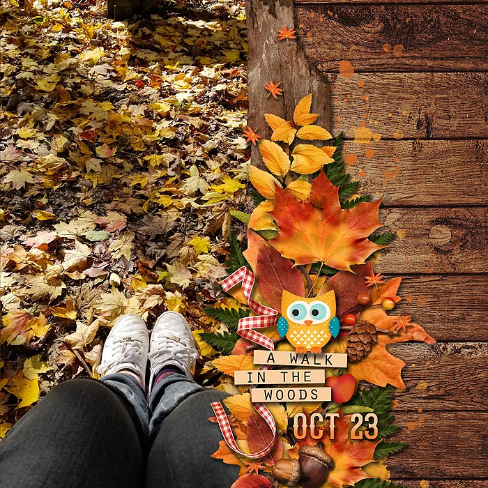 A Walk in the Woods