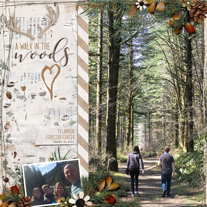 ~A Walk in the Woods~