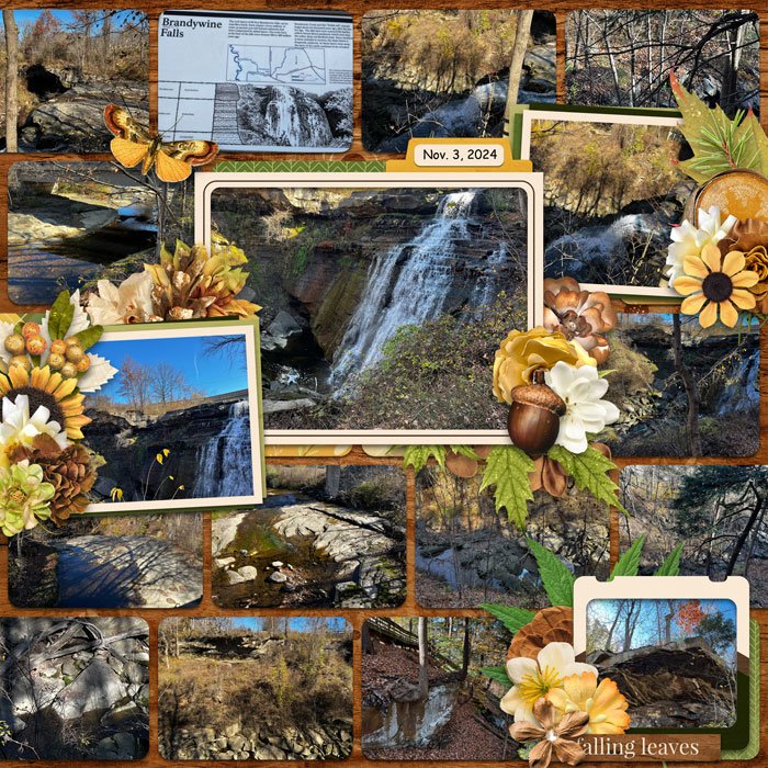 A Walk Through Nature (pg 3)