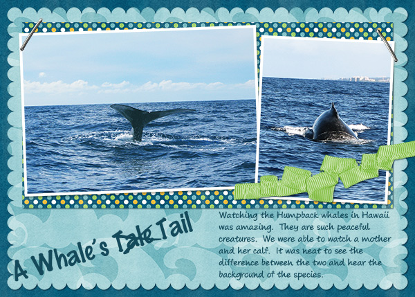A Whale's Tail