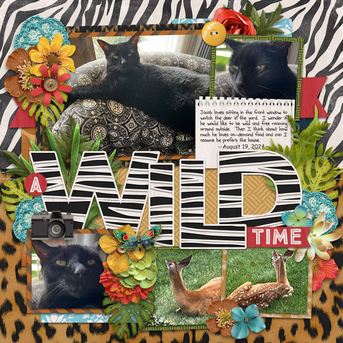 A Wild Time