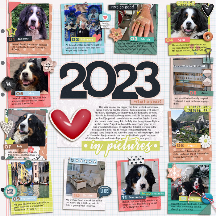 A Year in Review 2023