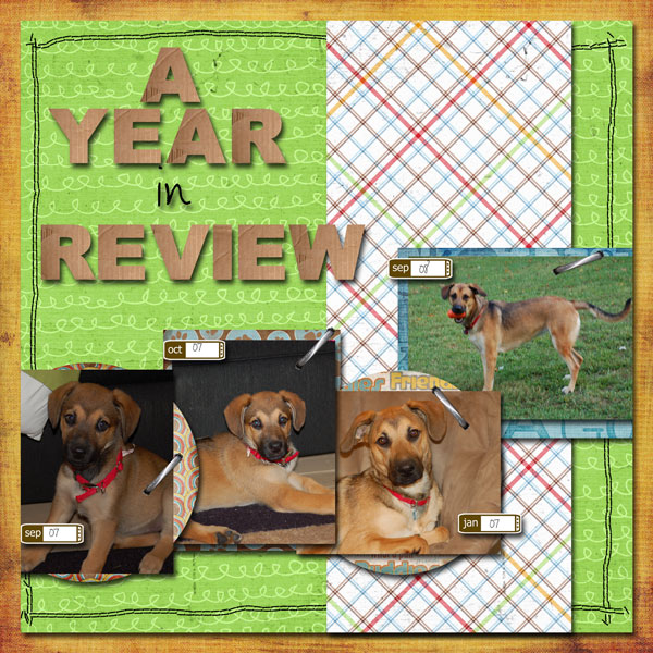 A Year in Review