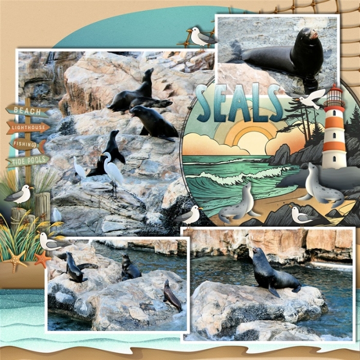 A_Coastal_Adventure