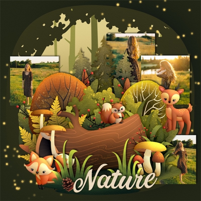 A_Woodland_Adventure