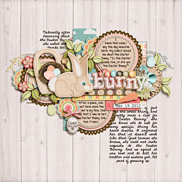 About the Bunny