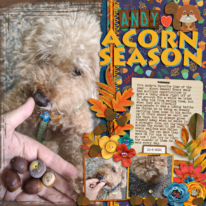 Acorn Season