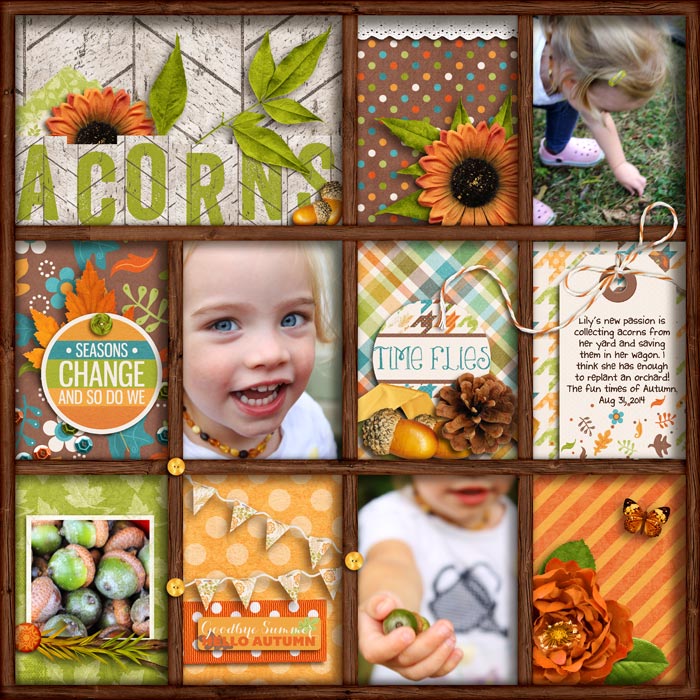 Acorns