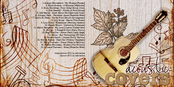 Acoustic Covers