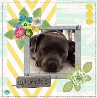 adorable pup