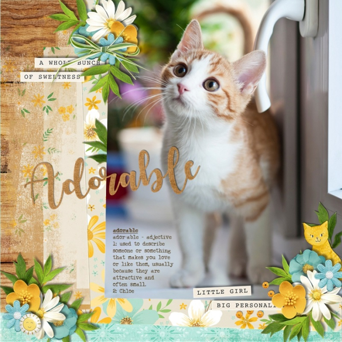 Adorable21