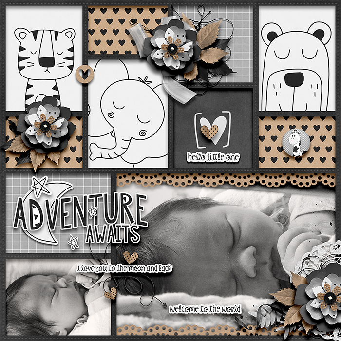 Adventure Awaits