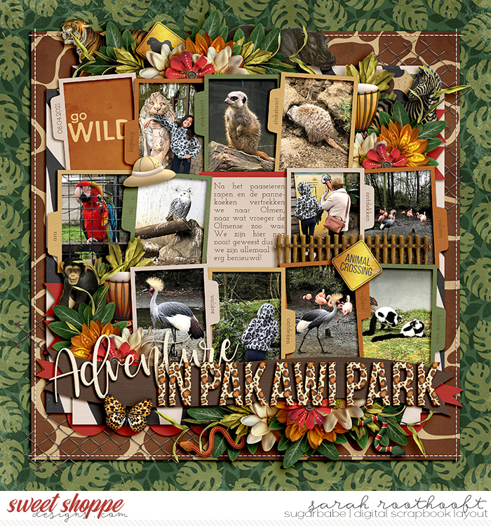 Adventure in Pakawi Park