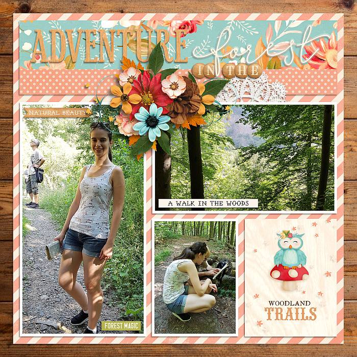 Adventure in the forest