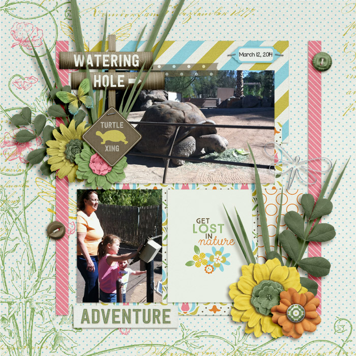 Adventure