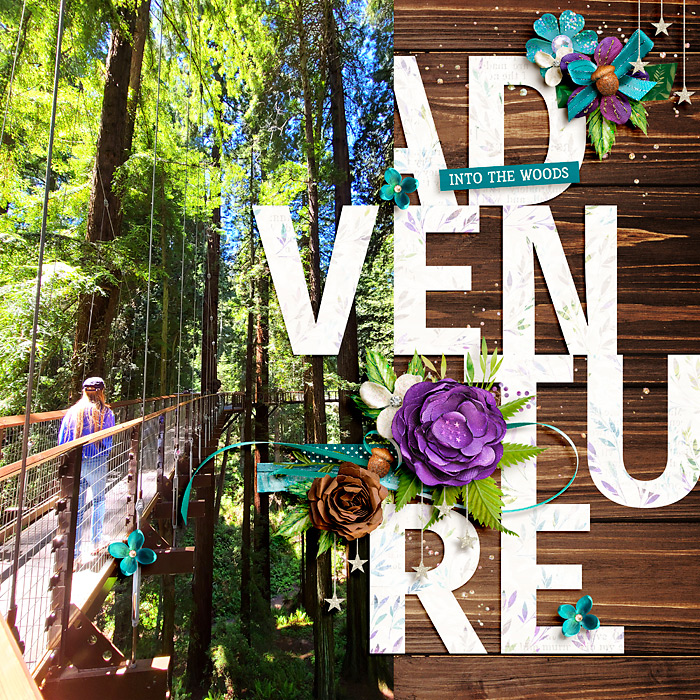 Adventure