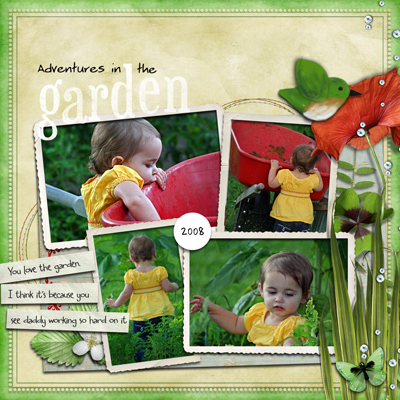 Adventures in the Garden