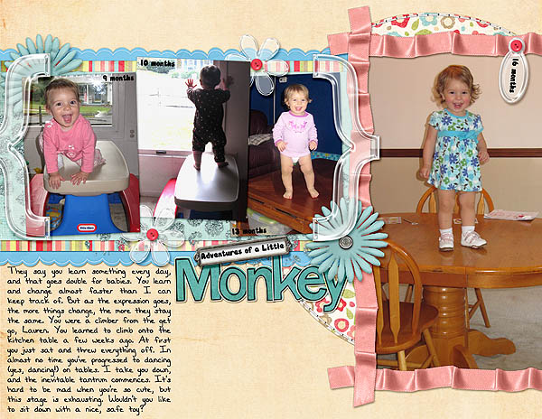 Adventures of a Little Monkey