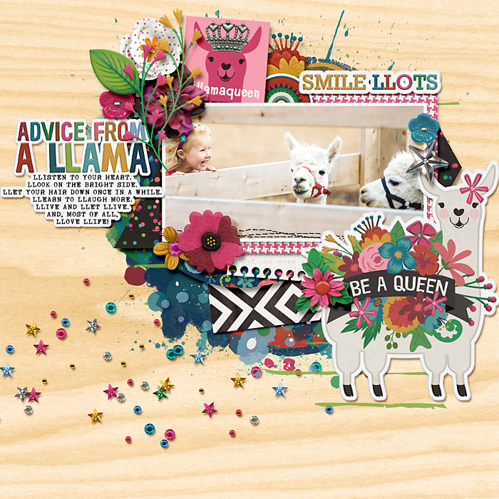 Advice from a llama