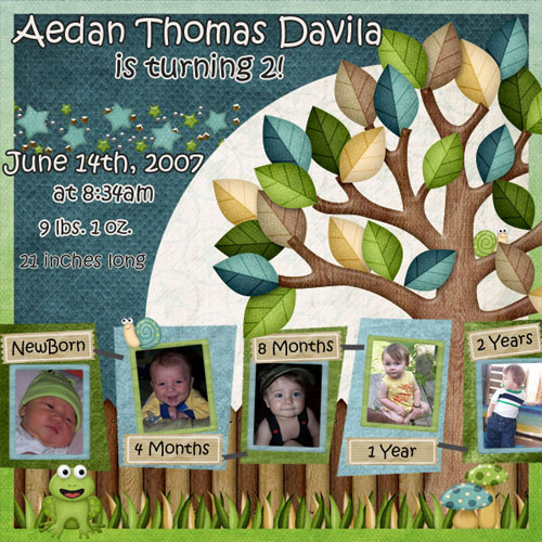 Aedan's 2nd Birthday...