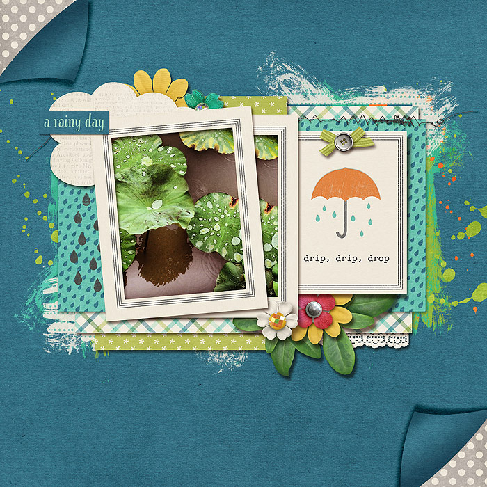 after the rain