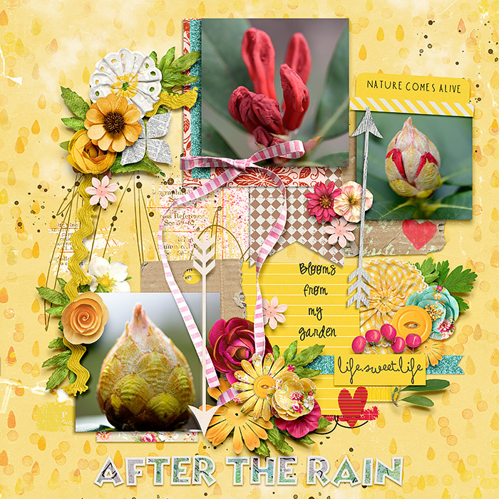 After The Rain