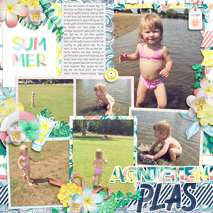 Agnieten plas