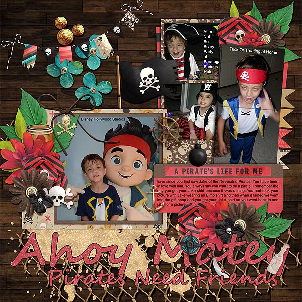 Ahoy Matey Pirates Need Friends