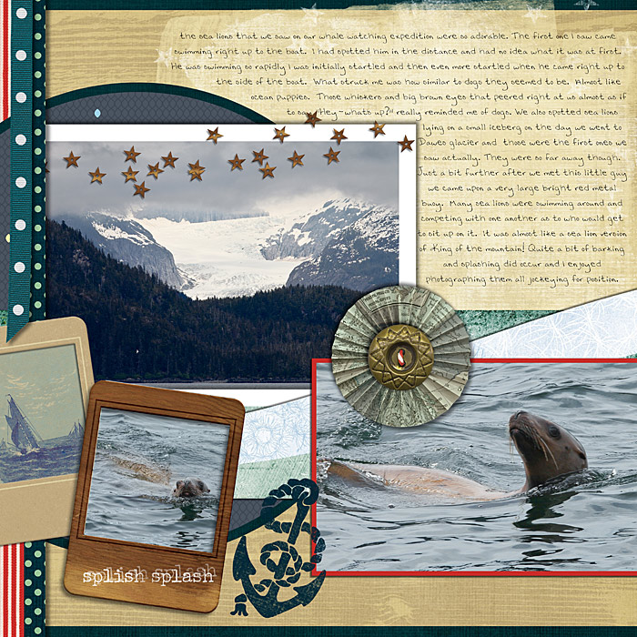 Alaskan sea lions