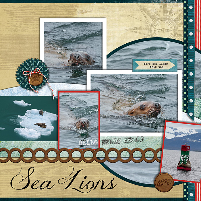 Alaskan sea lions