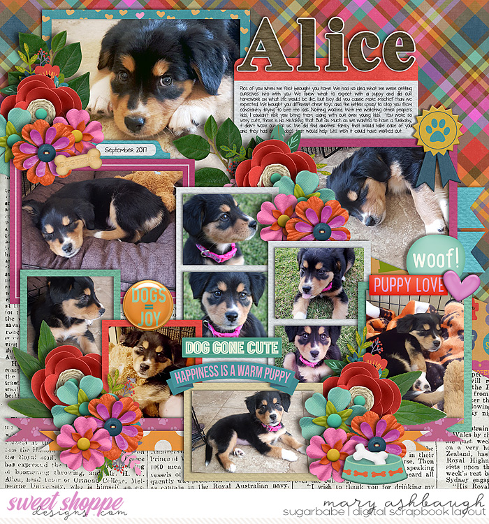 Alice