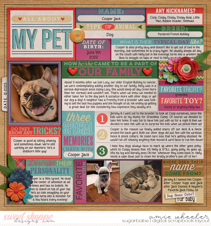All About Cooper