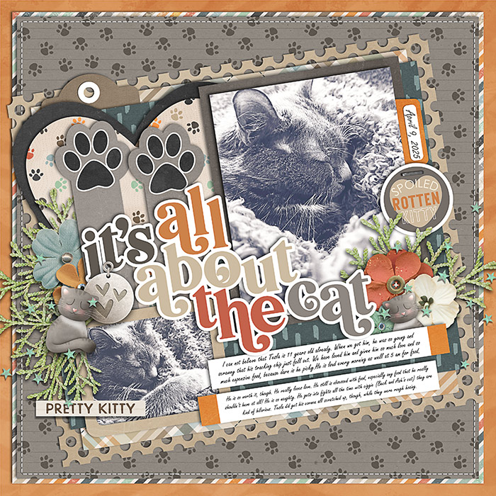 All About the Cat