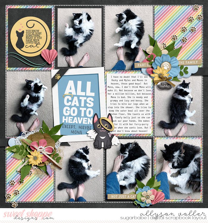 All Cats Except Mona