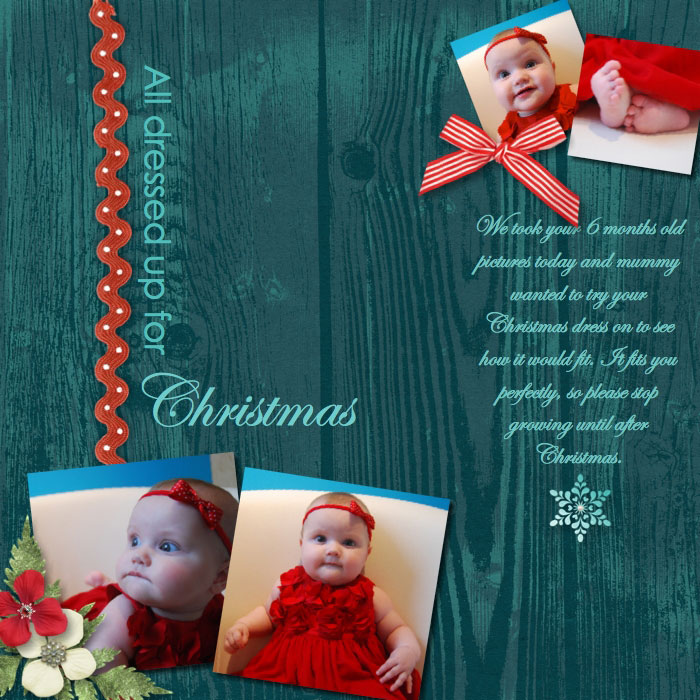 All dressed up for Christmas