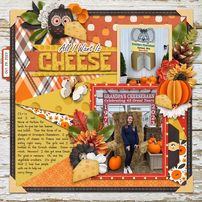 All I Want Is Cheese