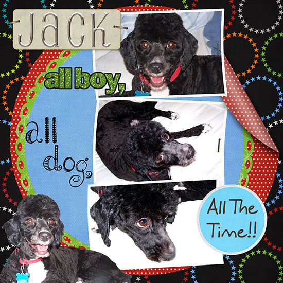 All Jack - All the Time