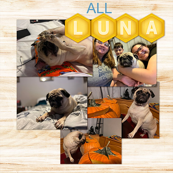 All Luna