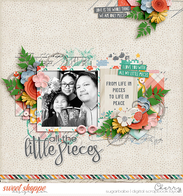 All The Little Pieces
