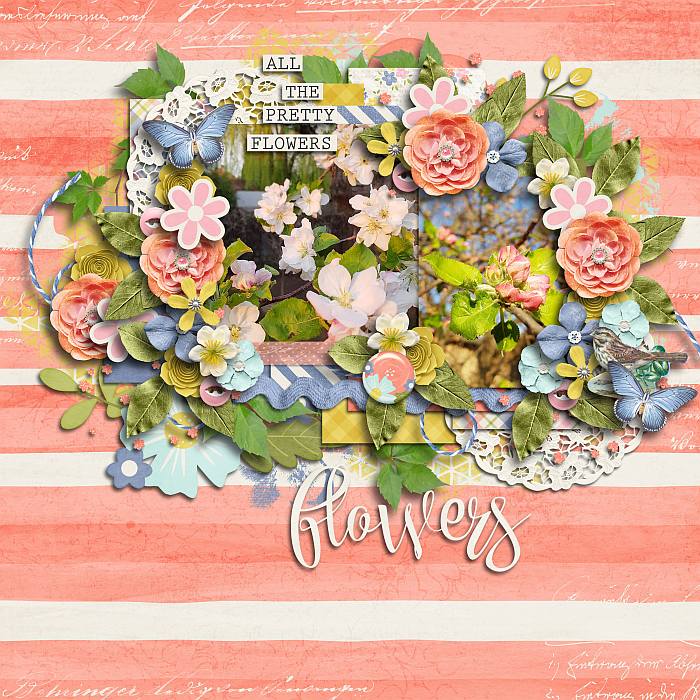 All the pretty flowers